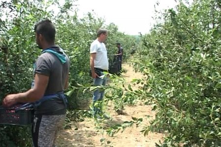 Bojnik: Nenadović  i na odmoru  radi ( VIDEO – FOTO )
