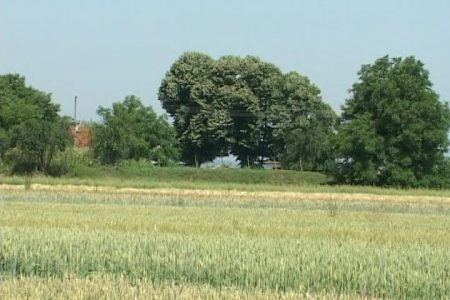 NA PODRUČJU JABLANIČKOG OKRUGA UVELIKO TRAJE SETVA PŠENICE