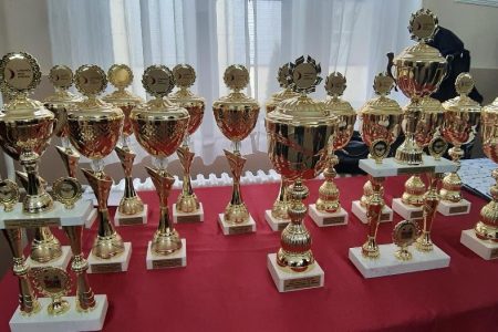 LESKOVAČKI SAVEZ SPORTOVA RASPISAO JAVNI POZIV ZA DODELU SPORTSKE NAGRADE LESKOVCA ZA 2021. GODINU