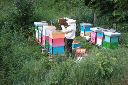 UPLATA PODSTICAJNIH SREDSTAVA ZA JOŠ 456 POLJOPRIVREDNIKA