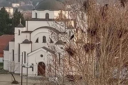 DANAS JE VELIKI PRAZNIK SRETENJE GOSPODNJE