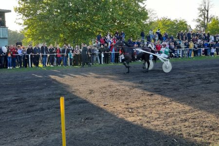 DANAS ODRŽANA TRADICIONALNA KASAČKA TRKA LESKOVAČKI POBEDNIK