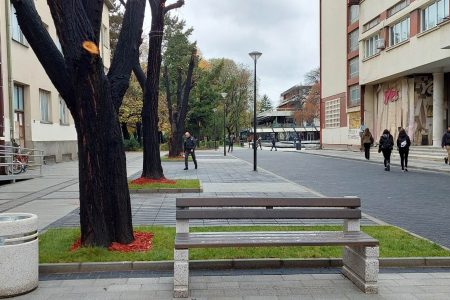 ZAVRŠENI RADOVI NA REKONSTRUKCIJI ULICE MOŠE PIJADE