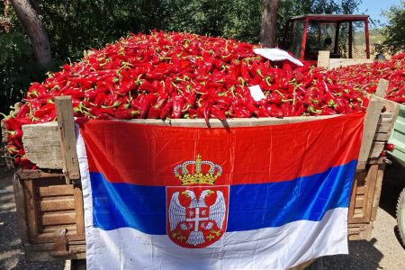 U SELU DONJA LOKOŠNICA ODRŽANI SU 17. DANI PAPRIKE