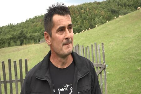 ŽIVOJIN PIJOVIĆ IZ SELA MEDEVCE U OPŠTINI MEDVEĐA IMA FARMU GOVEDA I OVACA