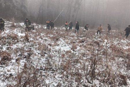 POŠUMLJAVANJE U SELU PODRIMCE I NA PLANINI KUKAVICA